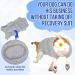 Lukovee Dog Surgery Recovery Suit Dog Cone E-Collar Alternative After Surgery with Zipper for Female Male Dog Recovery Shirt Dog Abdominal Wounds Bandages Preventing Licking Spay Suit (GY M) Medium Gray - Buy Online on SooperMarket.com