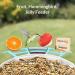 Netvue Multifunction Bird House Stand & Feeder | Versatile Bird Feeding Station for Wild Birds - Ideal for Potions Fruits & Vegetables - Buy Online on SooperMarket.com