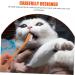 Kisangel 30 pcs Dual-head Handheld Clean Supplies Cat Nylon Oral Cleaning Brush Small Pet Puppy Portable 1 count (Pack of 1) Assorted Colorx3pcs - Buy Online on SooperMarket.com