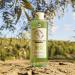 La Proven ale Bio AOC Anti-Aging Micro Cell Organic Olive Oil for All Skin Types 400ml D3636601 - Buy Online on SooperMarket.com