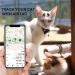 Adjustable Airtag Cat Neck Band with Bell | Silicone Protective Cover & Breakaway Safety Buckle | Black | Compatible with Apple Airtag - Buy Online on SooperMarket.com