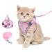 BriFit cat dishes with a leash 150cm cat dishes Breakfast & high quality software for cats dogs cat leash with dishes for cats Small dogs pink XS for 6.61-1lb pet