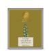 Forest Essentials Luxury Sugar Soap Oudh & Green Tea 125g