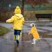 FUAMEY Dog Rain Coat | Lightweight Waterproof Rain Jacket with Transparent Brim | Reflective Dog Rain Poncho | Leash Hole | Yellow Slicker Raincoat for Small Medium Dogs Cats | Large Breed (14-23lb) - Buy Online on SooperMarket.com