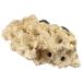 Tunze Coral Rack Long 1 piece (1 pack) 0104.820