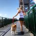 Ezydog Jogging Leash for Small & Medium Dogs - Reflective & Elastic Bungee - 210cm Red | Perfect Running Gear for Dog Owners - Buy Online on SooperMarket.com