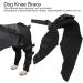 BORDSTRACT Dog Leg Braces for Hind Leg Adjustable Dog Knee Brace for Cruciate Ligament Injury Protecting Wounds Surgery Healing Arthritis Joint Pain and Muscle Sore HJ25 XS - Buy Online on SooperMarket.com