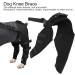 BORDSTRACT Dog Leg Braces for Hind Leg Adjustable Dog Knee Brace for Cruciate Ligament Injury Protecting Wounds Surgery Healing Arthritis Joint Pain and Muscle Sore HJ25 M - Buy Online on SooperMarket.com