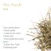 High-Quality Pine Needle Tea - 100g | Natural Pine Branches & Needles for Health Benefits - Buy Online on SooperMarket.com