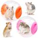 2 Pieces Hamster Ball 12cm Small Animals Dwarf Hamster Ball Transparent Spinning Running Wheel Small Animals Cage Accessories (Red + Yellow)