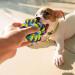Fur & Bone 10 Pack Dog Rope Toy Dog Chew Toys for Aggressive Chewers - Cotton Puppy Toys | Dog Toys Indestructible for Dog Chews | Dog Toy Indestructible Dog Toys Dog Accessories Chew Toys for Dogs - Buy Online on SooperMarket.com