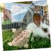 Kisangel Wooden Hamster Chewing Playthings Bunny Treats Oral Biting Playthings - Buy Online on SooperMarket.com