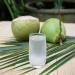 Buy BAMBOO TREE Coconut Water - 1L (Pack of 2) - Refreshing Healthy & Organic - International Shipping Available - Buy Online on SooperMarket.com