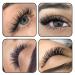 3D Eyelash Extensions D Curl 0.07mm - Long Lifting Volume Compartment 8-15mm | Matt Black - Buy Online on SooperMarket.com