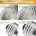 Caldarax 2 Pack Reptile Heating Bulb E27 Dimmable UVA UVB Bulb Tortoise 25W Turtle Basking Bulb for Reptiles and Amphibians Heat Lamp Bulb for Tortoise Bearded Dragon Lizard Snake - Buy Online on SooperMarket.com