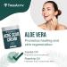 TreeActiv Acne Scar Cream - Effective Treatment for Face & Body Scars Stretch Marks 500+ Uses - All Skin Types - Buy Online on SooperMarket.com