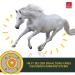 Buy Emma Linseed Oil for Horses & Pets - Cold-Pressed Omega 3 & 6 Fatty Acids for Shiny Fur & Digestion | 2x1L - Ideal for Dogs & Cats - Buy Online on SooperMarket.com