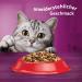 Buy Whiskas Adult 1+ Dry Cat Food - Beef 5x800g Packs | Premium Drying Cat Food for Adults - Various Packaging Options - Buy Online on SooperMarket.com