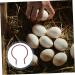 OFFSCH Incubator Heating Tube Chick Heater Heat Tool Triops Eggs Incubator Heaters The Bird's Nest Poultry - Buy Online on SooperMarket.com