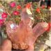 Natural Crystal Rough Beautiful Rose Flame Aura Quartz Crystal Cluster Specimen 60-70G - Buy Online on SooperMarket.com