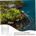 BESPORTBLE Pet Water Feeder Ants Waterer Ant Nest Entrance Feeder Ant Water Feeder Ant Nest Water Cup Ant Watering Station Ant Waterer for Garden Ant Nest Supplies Ant Feed Bowl Ant Keeping - Buy Online on SooperMarket.com