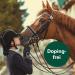 Equisept Fly Spray for Horses - 3L Insect Spray Canister | Mosquito & Horse Skin Care - Veterinarian Recommended Doping-Free - Buy Online on SooperMarket.com