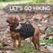 Petmolico Dog Saddle Bag | Hiking & Camping Dog Pack for Medium & Large Dogs - Black - Buy Online on SooperMarket.com