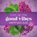 Glade PlugIns Refills Air Freshener - Happy-Go-Lilac Scented & Essential Oils for Home | International Shipping Available - Buy Online on SooperMarket.com