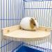 3PCS Hamster Wooden Platform Perch Stand Natural Bird Budgie Toys and Accessories Parrot Cage Perch for Chinchilla Mouse Rat Dwarf Hamster Small Animals - Box Packaging - Buy Online on SooperMarket.com