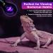 LUCKY HERP Reptile Night Heat Bulb 50W Night Heat Lamp Bulbs for Reptiles 2 Pack Reptiles & Amphibians Basking Spot Light Bulb for Bearded Dragon Lizard Snake Turtle Chameleon - Buy Online on SooperMarket.com