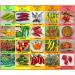 Chili Set 20 varieties individually packed from spicy to extremely hot Chili seeds Set seeds from all over the world Peppers