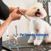 Plksei 2-Piece Dog Care Scissors Set | Professional Round & Curved Scissors for Dogs Cats & Pets | International Shipping - Buy Online on SooperMarket.com
