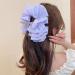 LONGLUAN Bow Bubble Clips Chiffon Silk Bubble Bow Hair Claw Jaw Clip Layered Bubble Mesh Tulle Fluffy Hair Clips Large Claw Clips for Thick Hair (2pcs-B) - Buy Online on SooperMarket.com