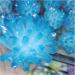 Crystals 1pc Rare Beautiful Ky Blue Phantom Quartz Crystal Cluster Ore Sample Cured Home Office Decoration Gift Stone Collection (Size : 400-450g) - Buy Online on SooperMarket.com