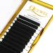 Volume Eyelash Extensions 0.12 C 17mm Premade Fans | Easy Fan Lashes | Self Fanning | 2D-20D | Optional Sizes | C/D Curl | 8-25mm Length | Mix 8-15 15-20 20-25 9-16 - Buy Online on SooperMarket.com