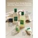 AROMATICA Rosemary Scalp Strengthening Duo Set - Nourish & Relieve Itchy Scalp with Food-Grade Rosemary Oil - Sulfate Silicone & Paraben Free - International Shipping Available - Buy Online on SooperMarket.com