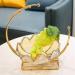 Kitchen Countertop Fruit Rack Fruit Basket Crystal Glass Elegant Fruit Basket with Alloy Holder Fruit Dessert Snacks Bowl Serving Bowl for Counter Fruit Trays for Party Onecolor - Buy Online on SooperMarket.com
