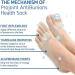 Orthopedic Bunion Relief Socks - Toe Alignment & Compression for Bunions - 5/10 Pairs - Buy Online on SooperMarket.com