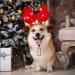 Pedgot 3 Pieces Light up Pet Christmas Headbands LED Pet Xmas Reindeer Antler Headbands for Christmas Holiday Supplies Accessory - Buy Online on SooperMarket.com