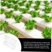 Milisten 6 Pcs Square Cucumber Molds Vegetables Fruit Avocado Tool Cucumber Shaping Mold Garden Tools Gourd - Buy Online on SooperMarket.com