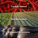 Chung Jung One Hot Pepper Paste Gold (Gochujang) 2.2lb - Medium Hot - No Corn Syrup - Korean Traditional Sunchang Brown Rice Red Pepper Paste - Gochujang 2.2 Pound - Buy Online on SooperMarket.com