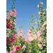Yves Rocher Garden Party Eau de Parfum for Women Spray 100 ml./3.3 fl.oz. - Buy Online on SooperMarket.com