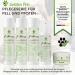 Golden Pets Fellspray 250ml - Natural Defolling Spray for Dogs & Cats | Improved Combability & Free E-Book on Mild Wildflowers - Buy Online on SooperMarket.com