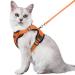 Rabbitgoo cat dishes with a line software for cat breastware cat harness cat sets out of breakage -proof adjustable cat vest orange m m (1 Pack) orange