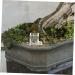 HAPINARY 3pcs Mini Liquid Feeder Ants Water Feeding Clear Ants Feeder Plastic Insect Feeder - Buy Online on SooperMarket.com