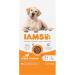 IAMS Complete Dry Dog Food for Senior 7+ Large Breeds with Chicken 12 kg Chicken 12 kg (Pack of 1) - Buy Online on SooperMarket.com
