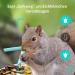 Netvue Bird Feed Donor & Camera - AI-Powered Bird Feeder with Species Detection | Bird House & Feed Stations for Wild Birds - Buy Online on SooperMarket.com