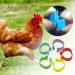 100pcs 16mm Clip on Chicken Leg Bands Number 001-100 Numbered Leg Bands for Chickens Ducks Hens Poultry Leg Bands for Dove Chicks Hen Parrot Birds Identification(Red) - Buy Online on SooperMarket.com