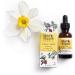 Mad Hippie Vitamin C Serum with Hyaluronic Acid, Vitamin E, and Ferulic Acid - Skin-Brightening Serum for Women/Men - 1.02 Fl Oz - Buy Online on SooperMarket.com