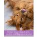 Lega Phyton 200 - Liver Support Tablets for Dogs & Cats | Silymarin Supplement | 24 Tablets - International Shipping Available - Buy Online on SooperMarket.com